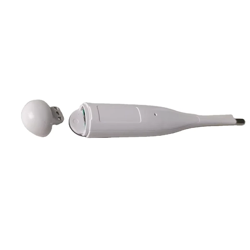 Waterproof Digital Thermometer